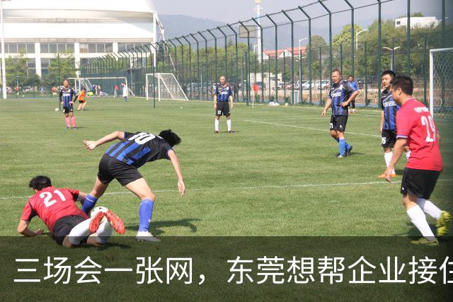 三场会一张网，东莞想帮企业接住什么