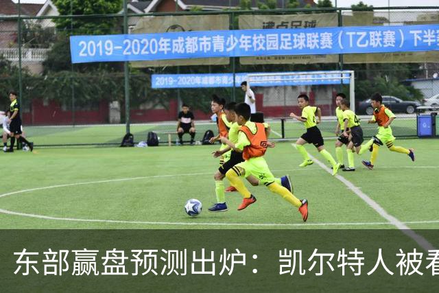 东部赢盘预测出炉：凯尔特人被看好，公牛30胜都悬