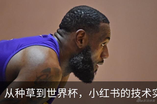 从种草到世界杯，小红书的技术实力藏不住了