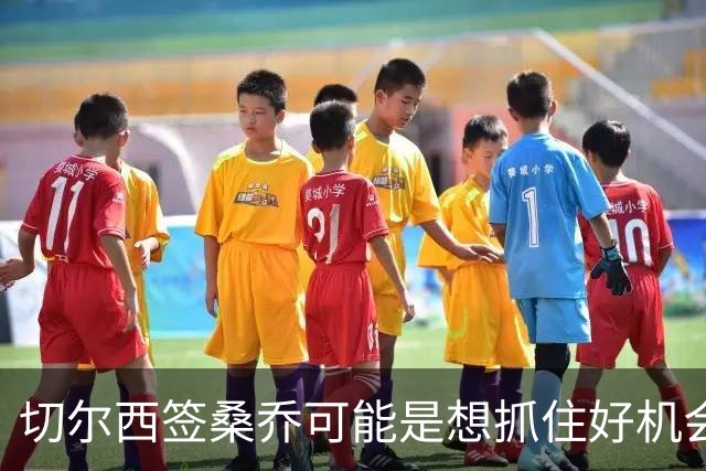 切尔西签桑乔可能是想抓住好机会 目前转会费合理