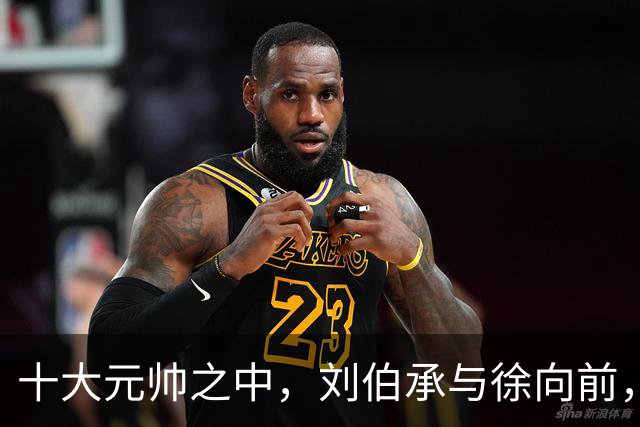 十大元帅之中，刘伯承与徐向前，读懂这份沉默的信任