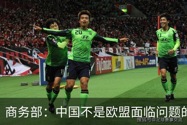 商务部：中国不是欧盟面临问题的根源，而是解决问题的伙伴