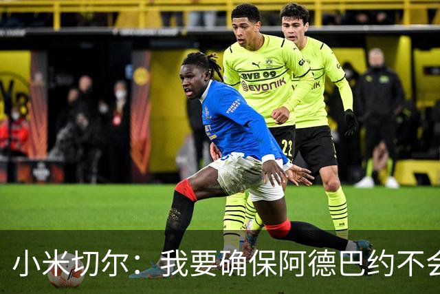 小米切尔：我要确保阿德巴约不会在比赛中迷失 他和字母哥重位了