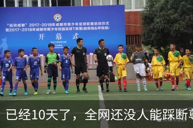 已经10天了，全网还没人能踩断尊界刹车