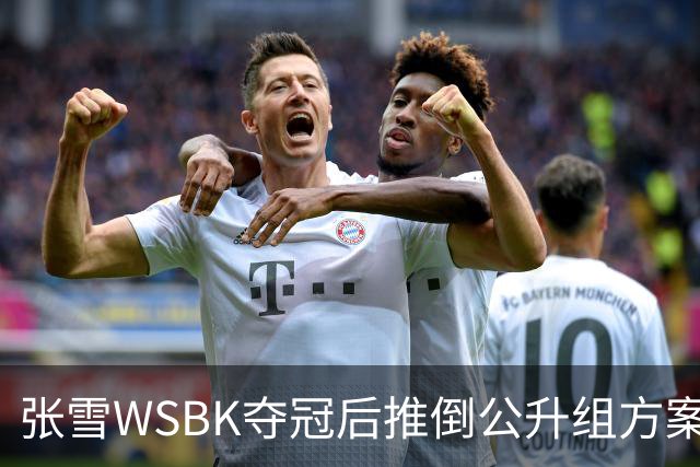 张雪WSBK夺冠后推倒公升组方案：弃四缸改自研V5，两年冲公升组经理放话全力托底
