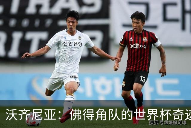 沃齐尼亚：佛得角队的世界杯奇迹属于所有球员，并不仅仅是我