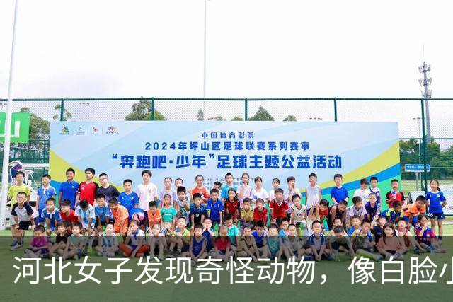 河北女子发现奇怪动物，像白脸小狗，为了给它们留窝连玉米秆都不收了