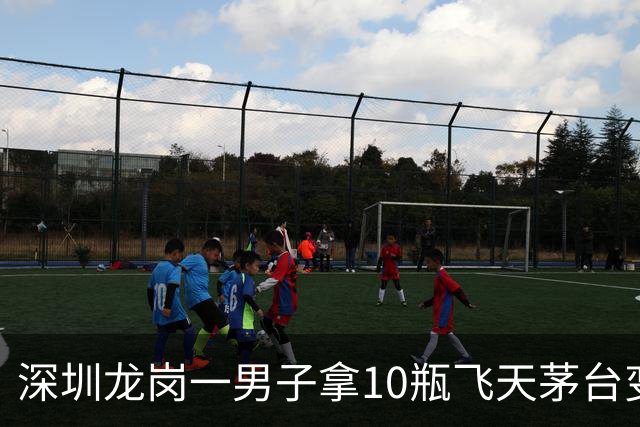 深圳龙岗一男子拿10瓶飞天茅台变现，回收商一看：全是拔头酒